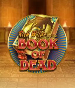 Enter the thrilling world of Book of Dead Slot by Play'n GO, featuring vivid graphics of Rich Wilde's journey through ancient Egyptian tombs and artifacts. Uncover lost riches with captivating mechanics like free spins, expanding symbols, and a gamble option. Ideal for adventure seekers with a desire for exciting finds.